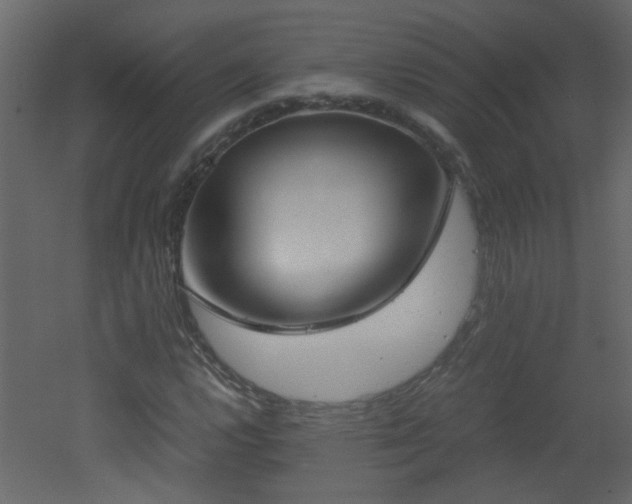 X0000051911112200506241435