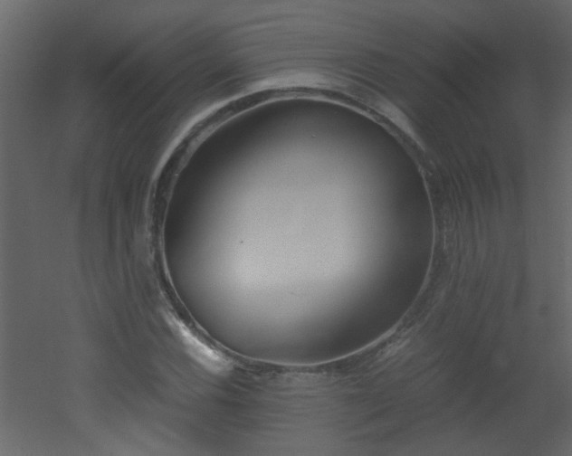 X0000051911116200506241436