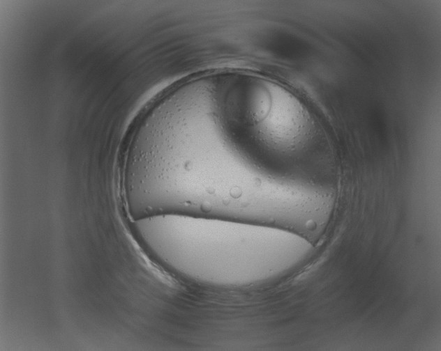 X0000051911125200506241436