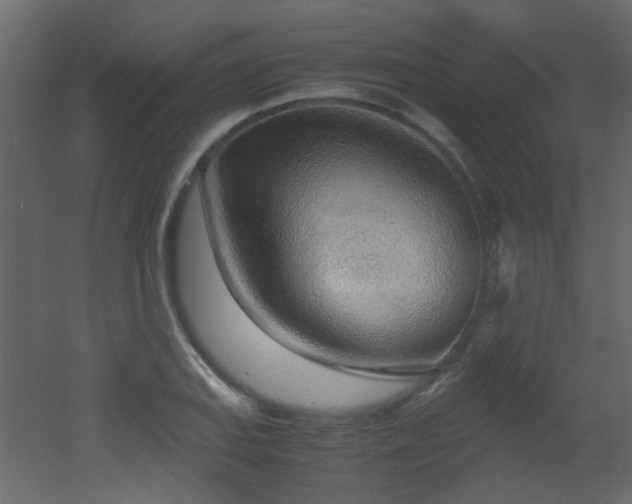 X0000051911127200506241436