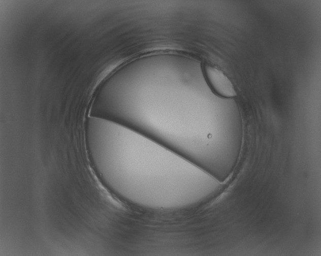 X0000051911129200506241436