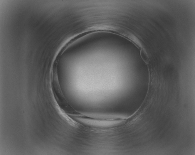 X0000051911132200506241436