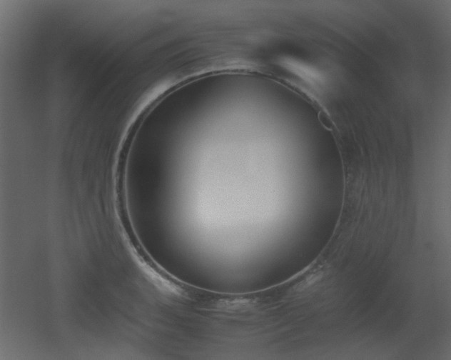 X0000051911135200506241436