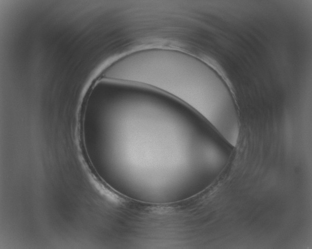 X0000051911136200506241436