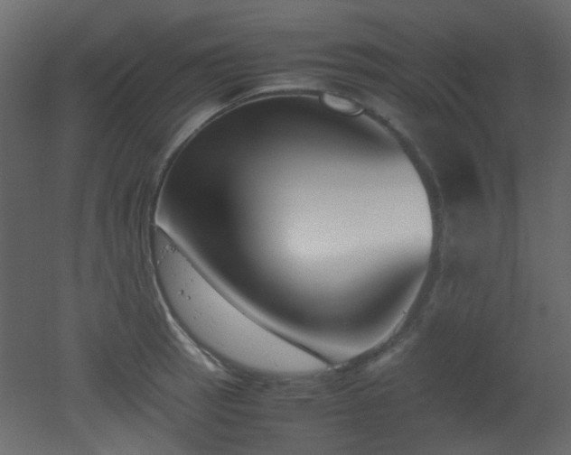 X0000051911137200506241436