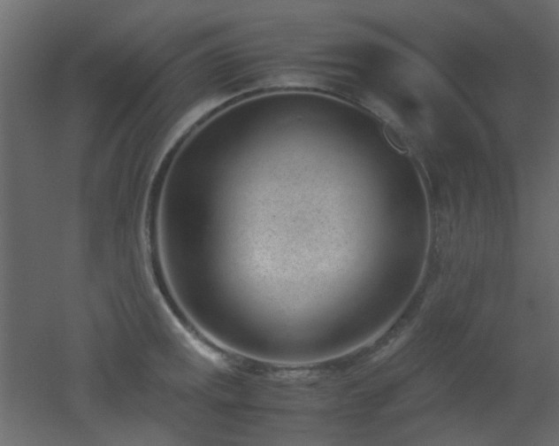 X0000051911141200506241436