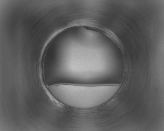 X0000051911144200506241436