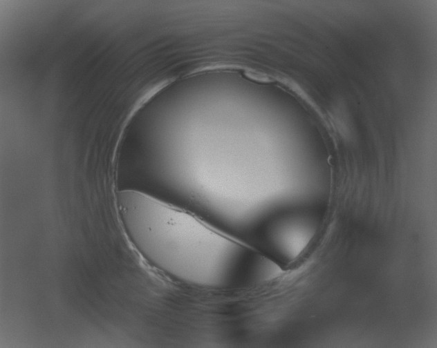 X0000051911145200506241436
