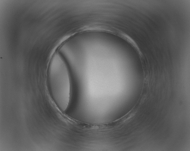 X0000051911146200506241436