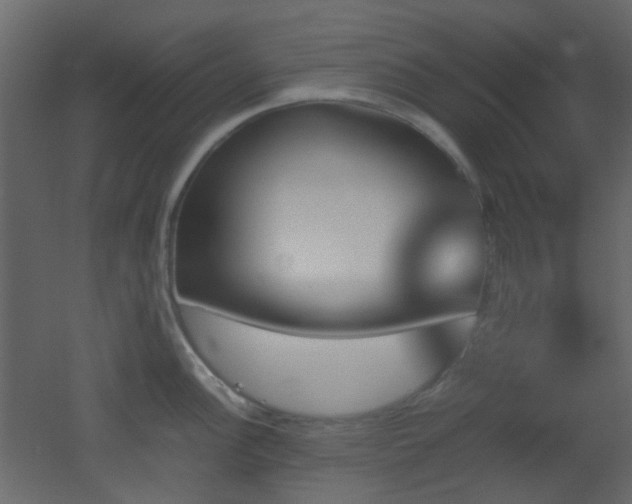 X0000051911148200506241436