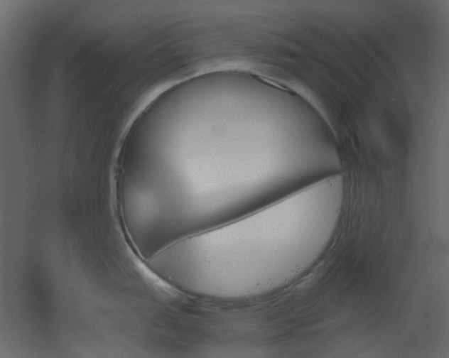 X0000051911151200506241436
