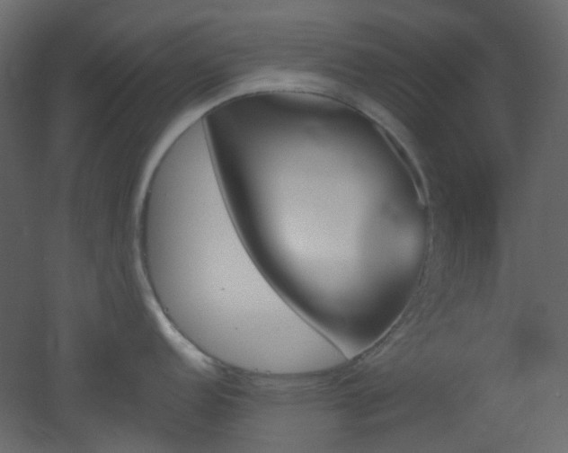 X0000051911152200506241436