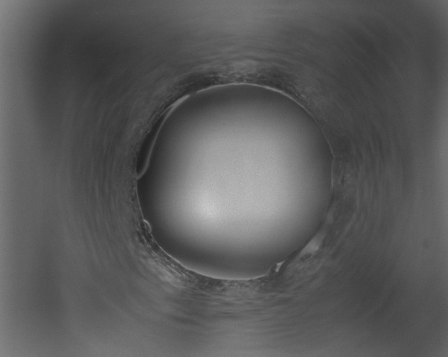 X0000051911153200506241435