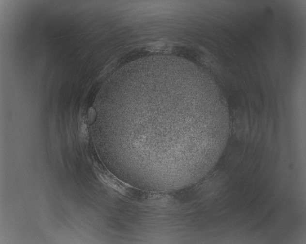 X0000051911154200506241435