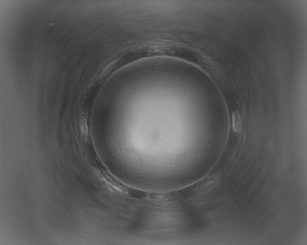 X0000051911155200506241435