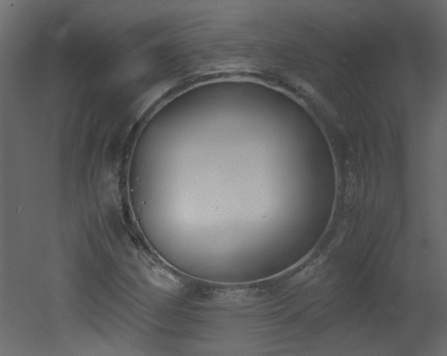 X0000051911162200506241435