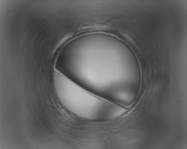 X0000051911163200506241435