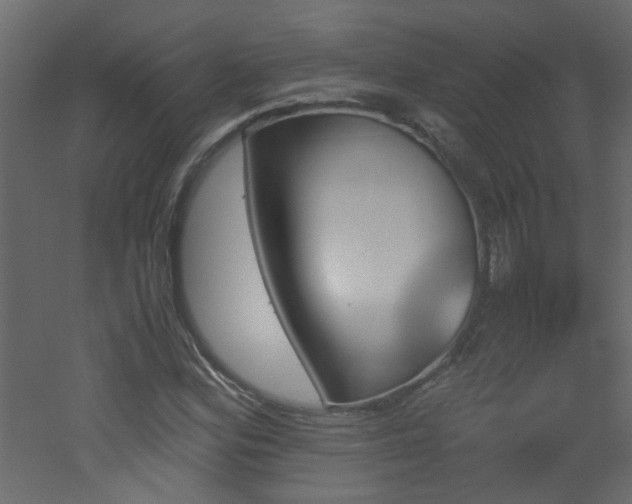 X0000051911164200506241435