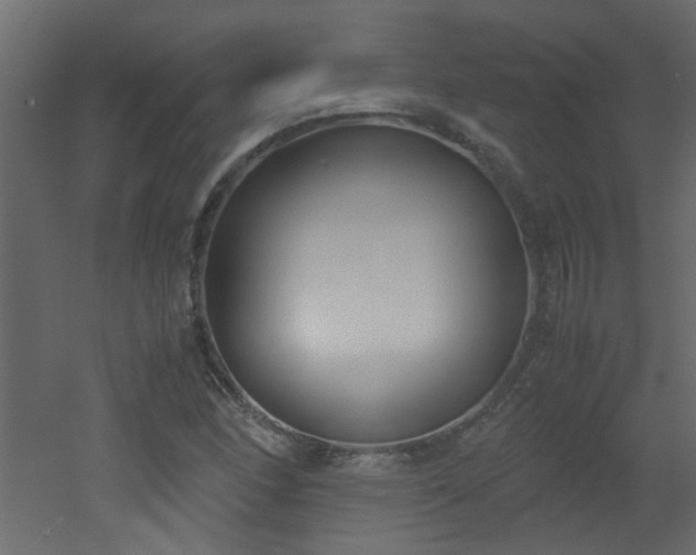 X0000051911166200506241435
