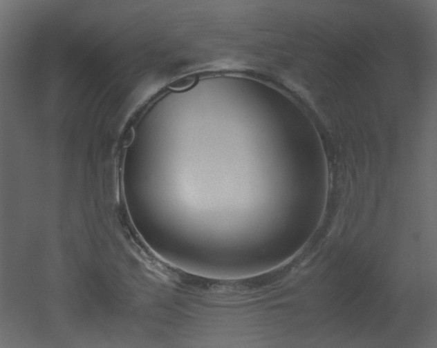 X0000051911171200506241435