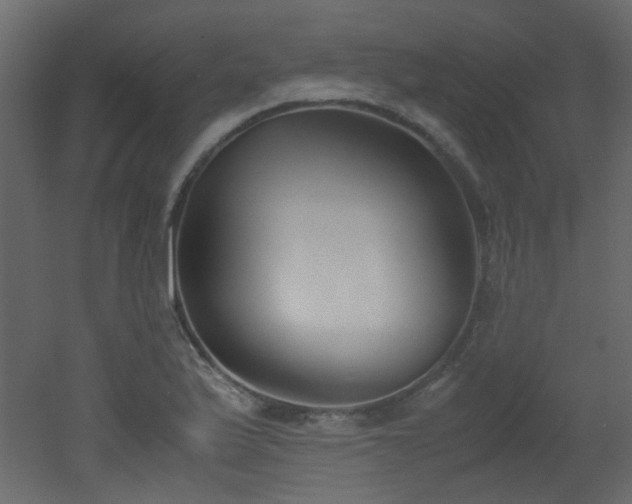 X0000051911175200506241435