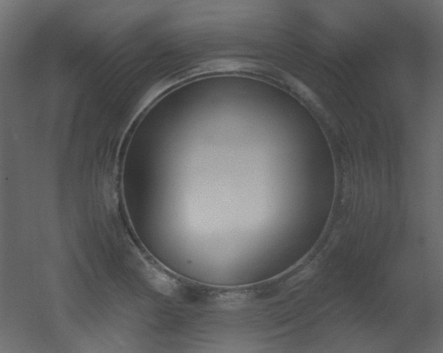 X0000051911178200506241435
