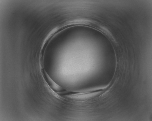 X0000051911180200506241435