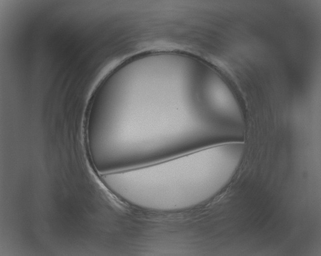 X0000051911183200506241435