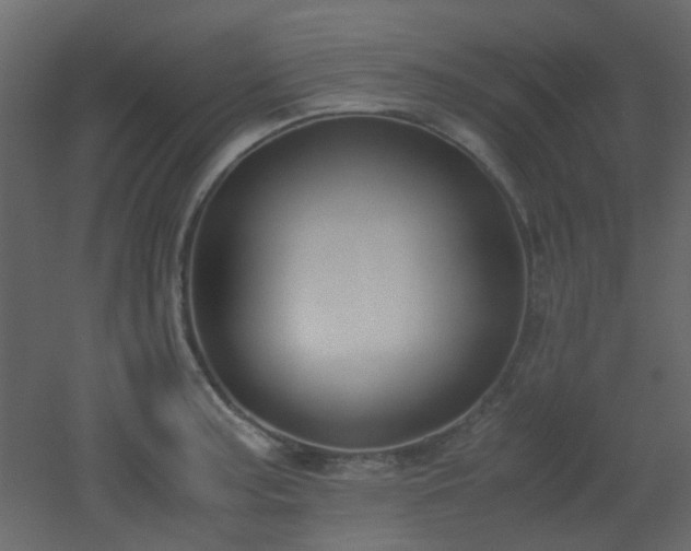 X0000051911187200506241435