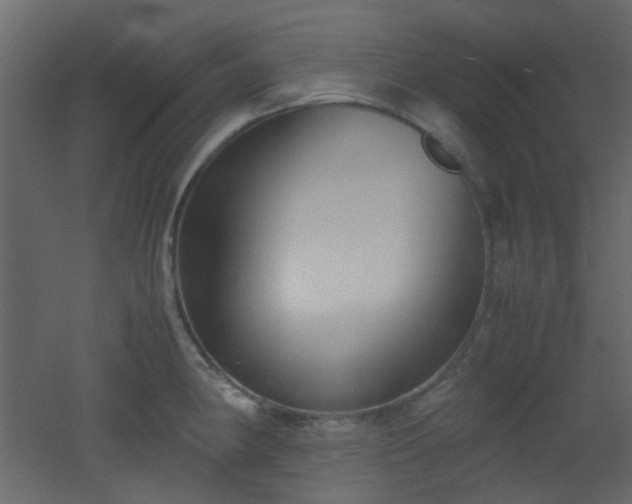 X0000051911190200506241435