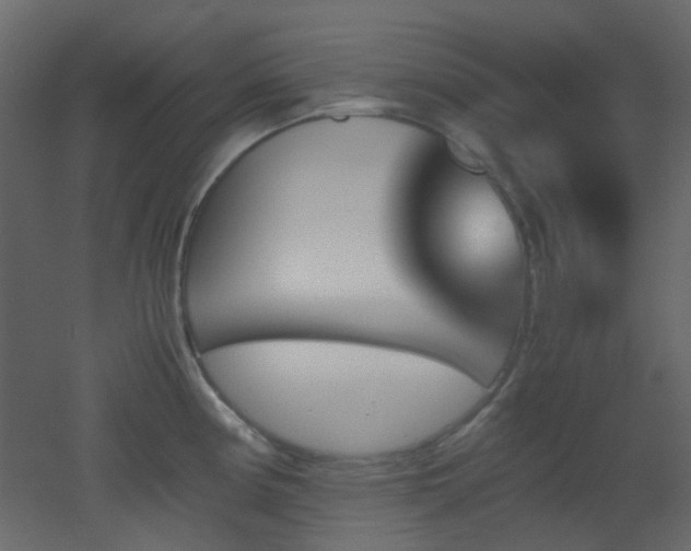 X0000051911194200506241435