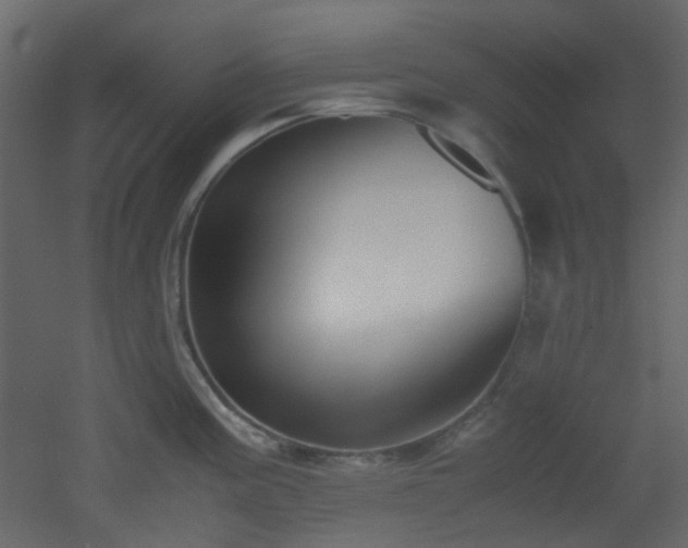 X0000051911195200506241435