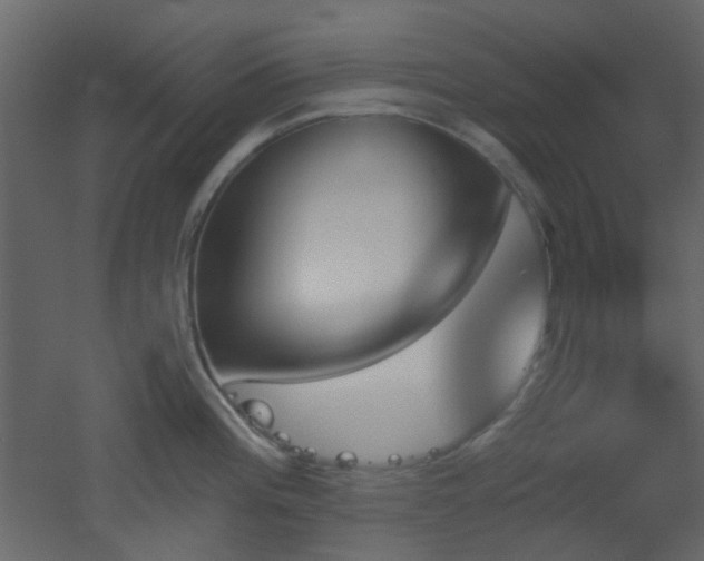 X0000051911196200506241435