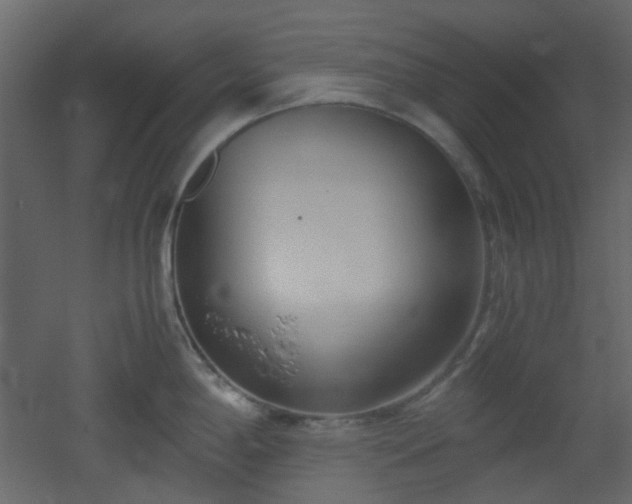 X0000051911198200506241435