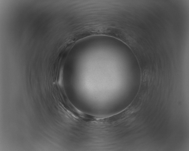 X0000051911202200506241434