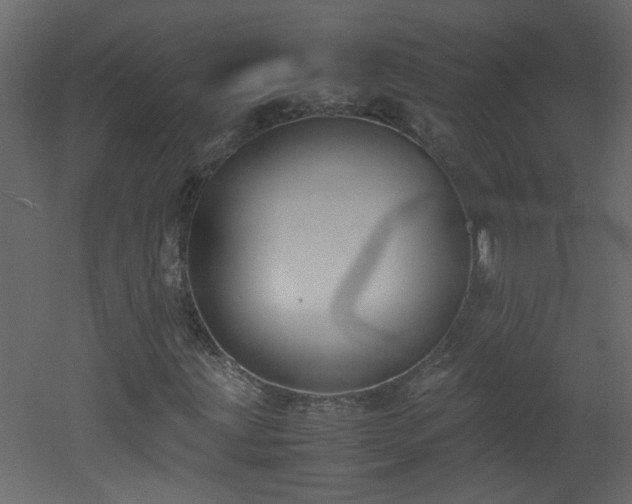 X0000051911203200506241434