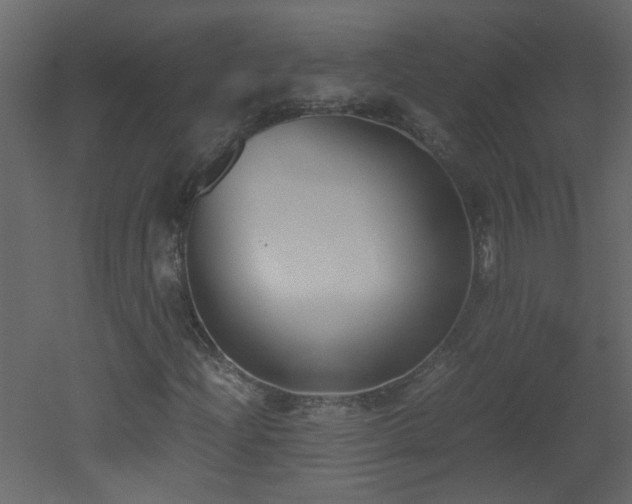 X0000051911204200506241434