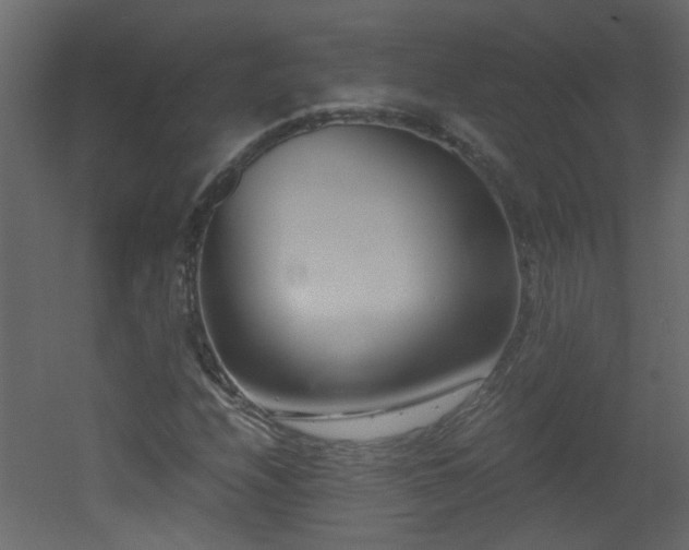 X0000051911208200506241434