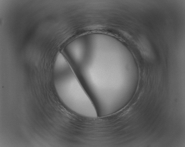 X0000051911209200506241434