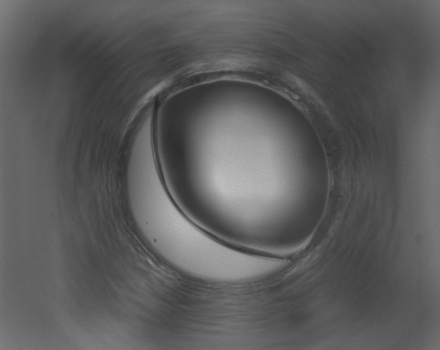 X0000051911210200506241434