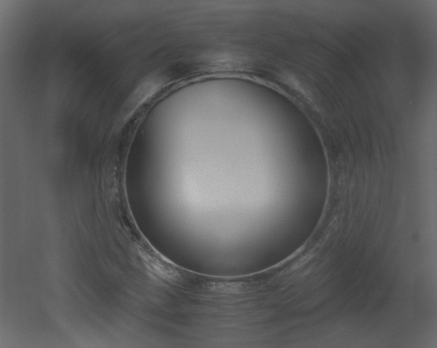 X0000051911211200506241434