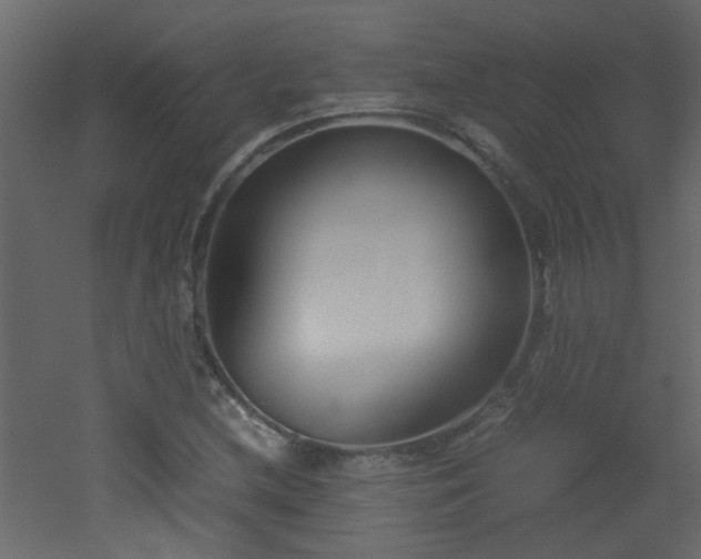 X0000051911212200506241434