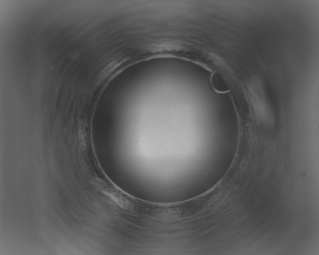 X0000051911217200506241434