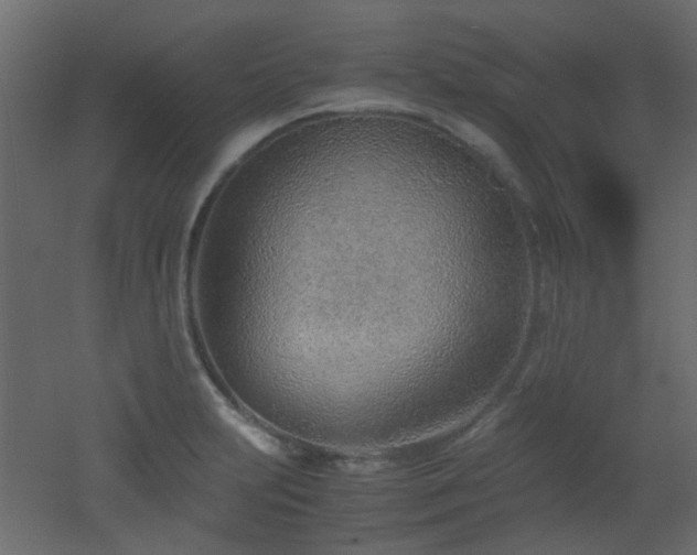 X0000051911231200506241434