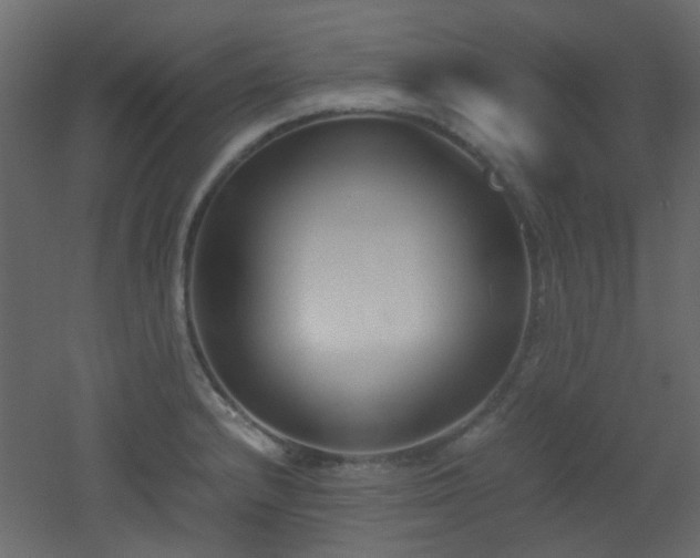 X0000051911232200506241434