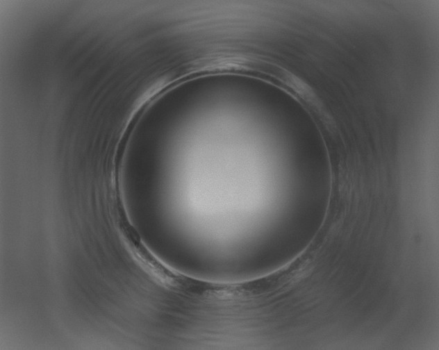 X0000051911234200506241434