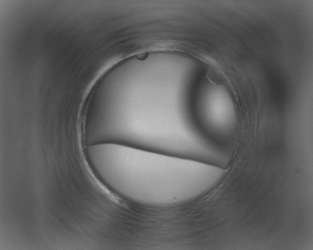 X0000051911235200506241434