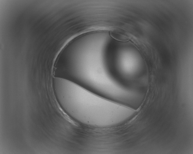 X0000051911236200506241434