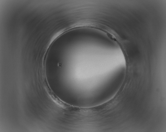 X0000051911242200506241434