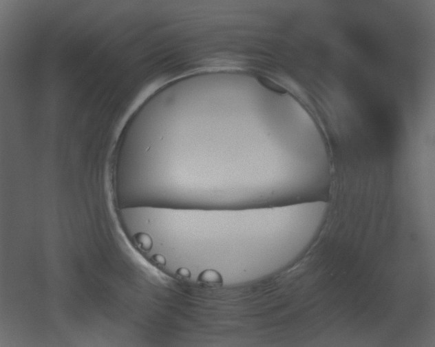 X0000051911243200506241434